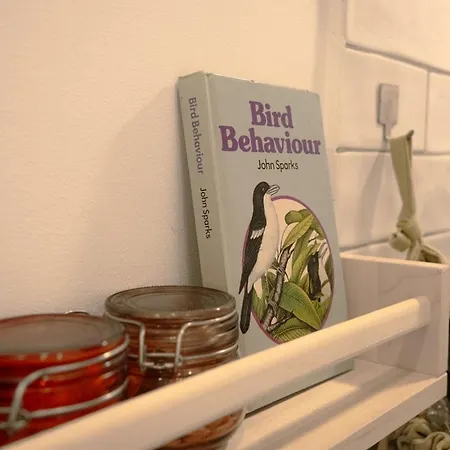 Charming 1br With Terrace Praca Flores | By Airnest * Lissabon