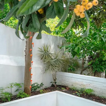 Charming 1br With Terrace Praca Flores | By Airnest Apartament