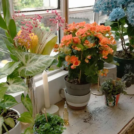 Charming 1br With Terrace Praca Flores | By Airnest * Lisbon