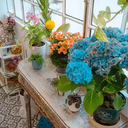 شقة Charming 1br With Terrace Praca Flores | By Airnest